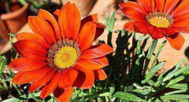 Jak správně udržovat vrata v bytě v zimě až do jara